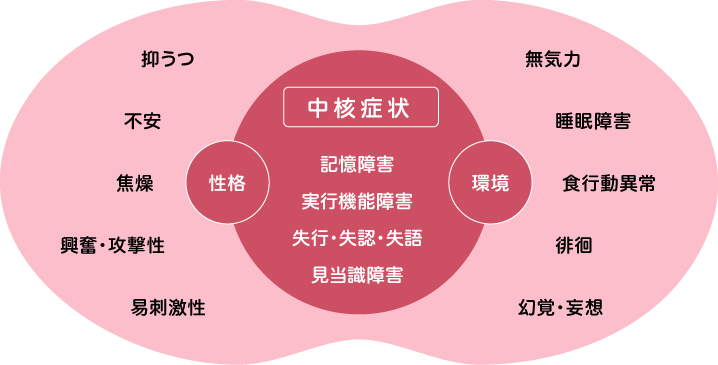 行動・心理症状（BPSD）と中核症状の概念図